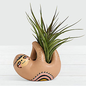 Wall Hanging Flower Planter - AARiveraBrito